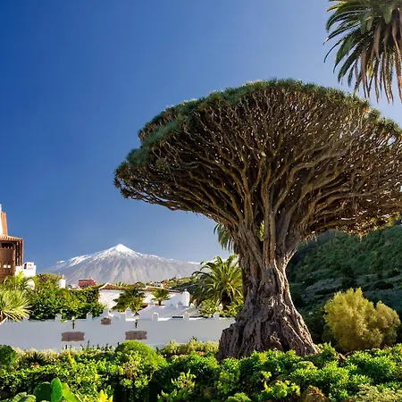 Eden Melicoton Scape