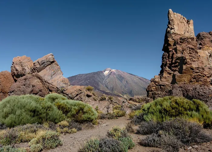 Eden Melicoton Scape *