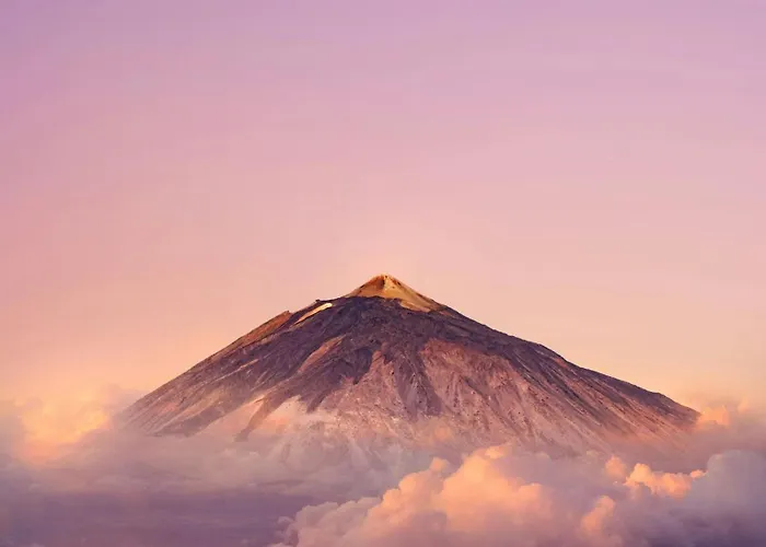 Eden Melicoton Scape