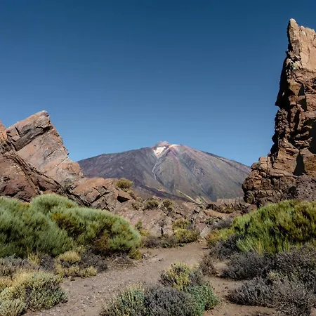 Eden Melicoton Scape *