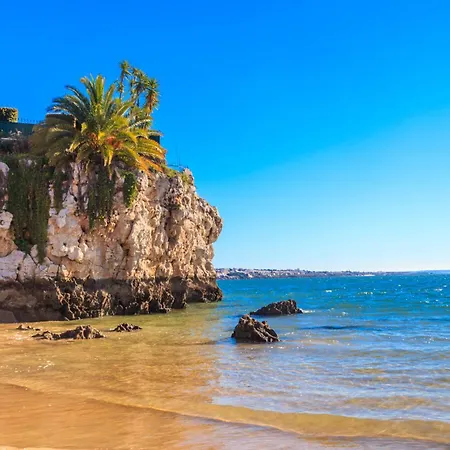 Daire Eden Melicoton Scape Candelaria