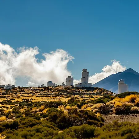 Eden Melicoton Scape *