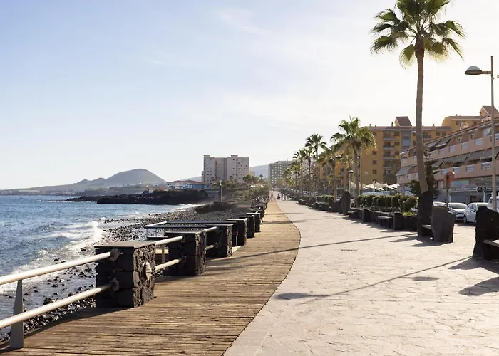 Daire Eden Melicoton Scape *