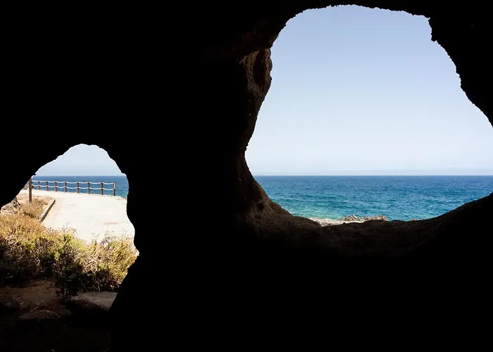 Daire Eden Melicoton Scape Candelaria