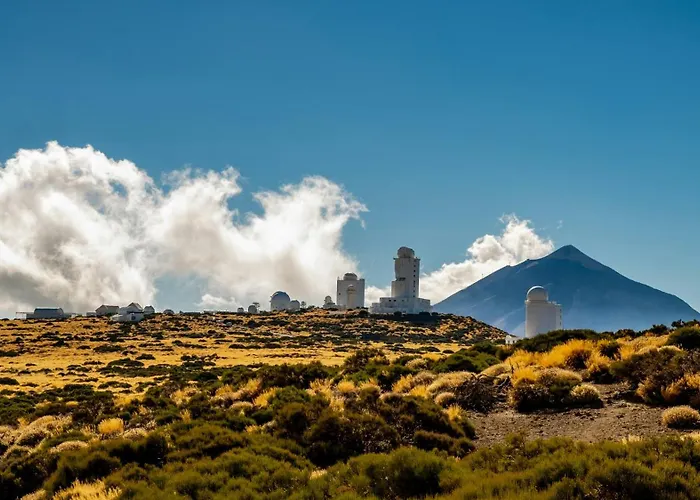 Eden Melicoton Scape *